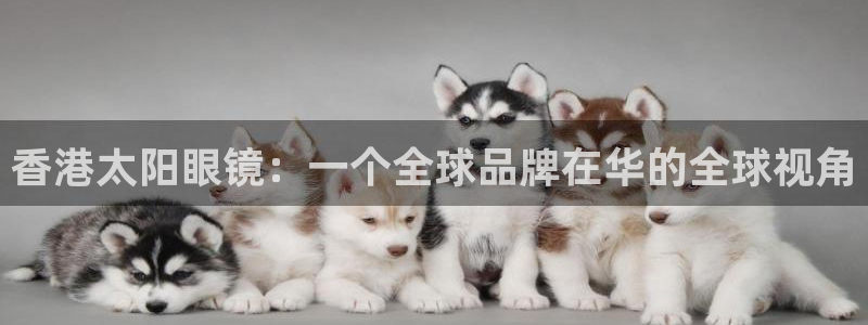 新宝5公司