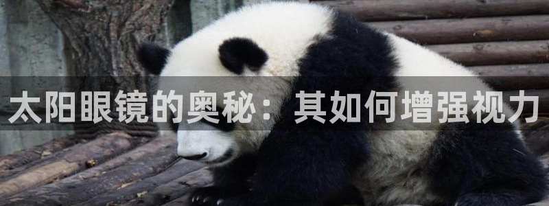 新宝娱乐5入口