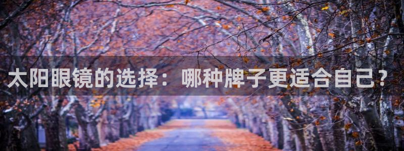 新宝5现在还能玩吗