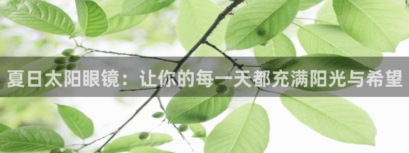新宝5下载 迅雷下载