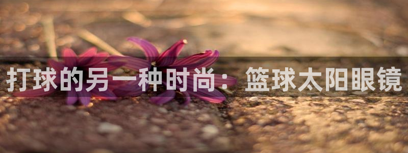 新宝5口67五壹叁八