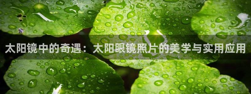 新宝5app手机下载