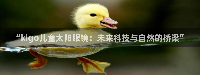 新宝5安卓版