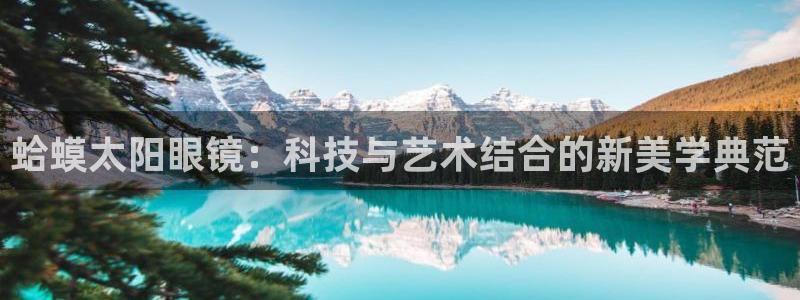 新5宝