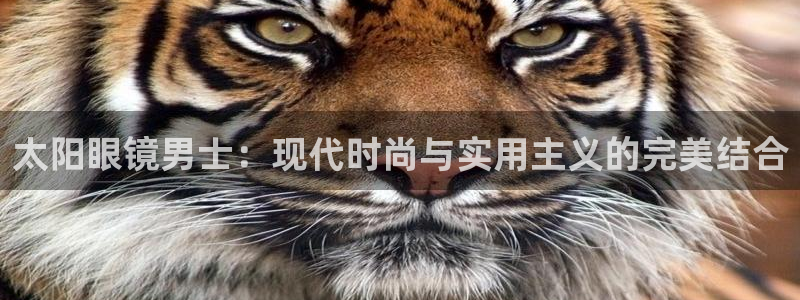 新宝5手机平台登陆