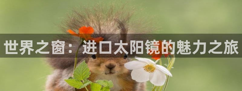 新宝5是什么样子的