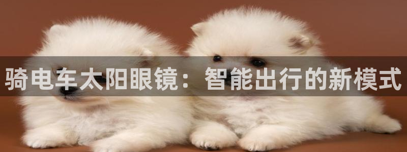 新宝5手机版