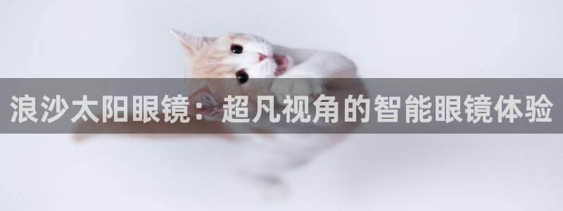 新宝股东张听2 5 5