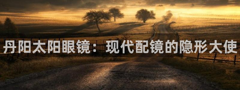 新宝堂新会陈皮5年