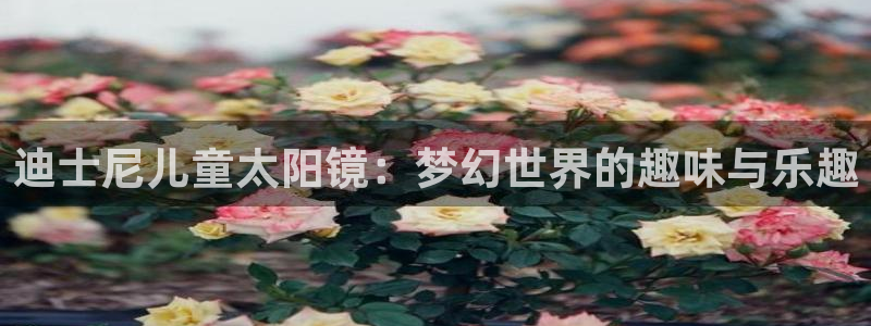 新宝5官网app