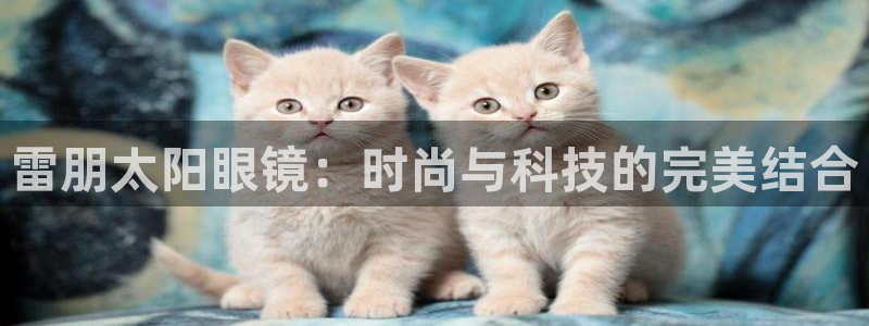 新宝5怎么代理